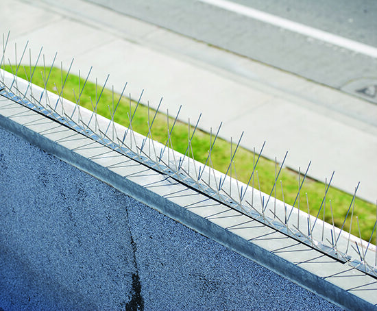 Additional Building Services | South Shore
